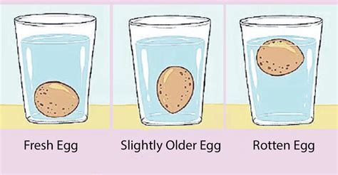 testing the hardness of an egg|hard boiled egg float test.